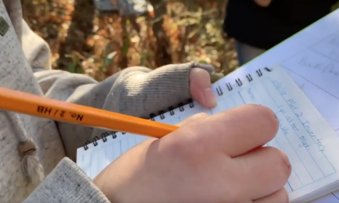 Students Study Invasive Species in School Forest