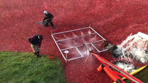 Cranberry Grower Gives History