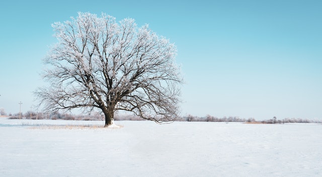 Snow Days: A Thing of The Past